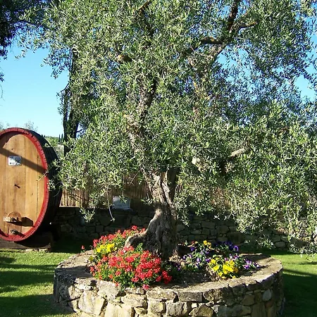 Hotel Belvedere Di San Leonino 4*