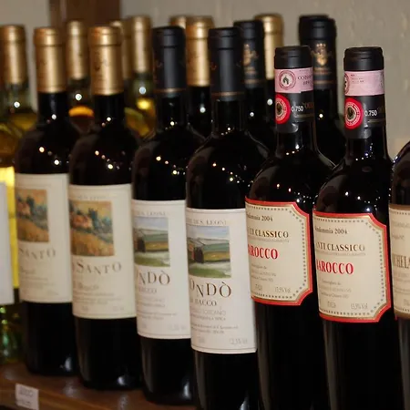 Belvedere Di San Leonino Hotel 4*