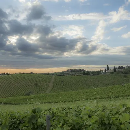 Belvedere Di San Leonino Castellina in Chianti