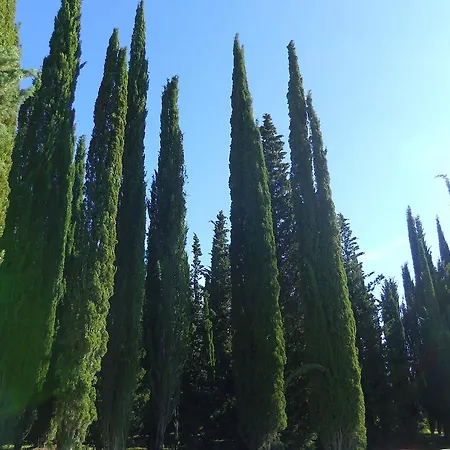 Belvedere Di San Leonino Hotel