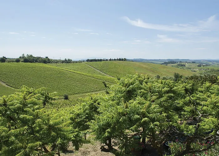 Belvedere Di San Leonino Castellina in Chianti